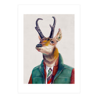 Pronghorn Deer (Print Only)