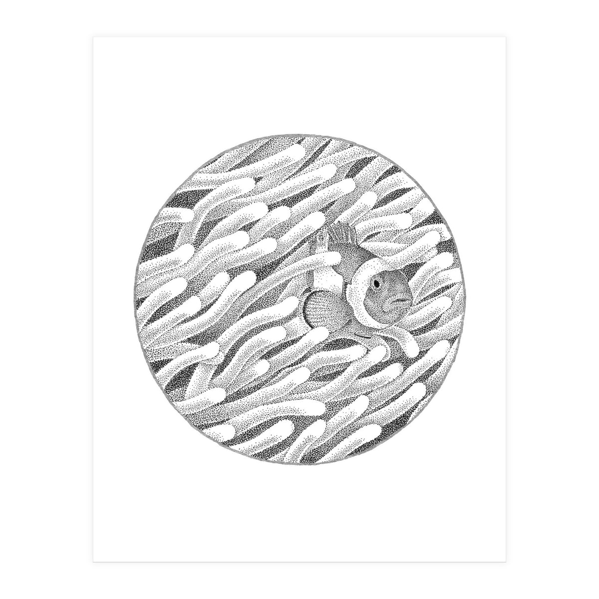 P.O. Underwater Gardens (Print Only)