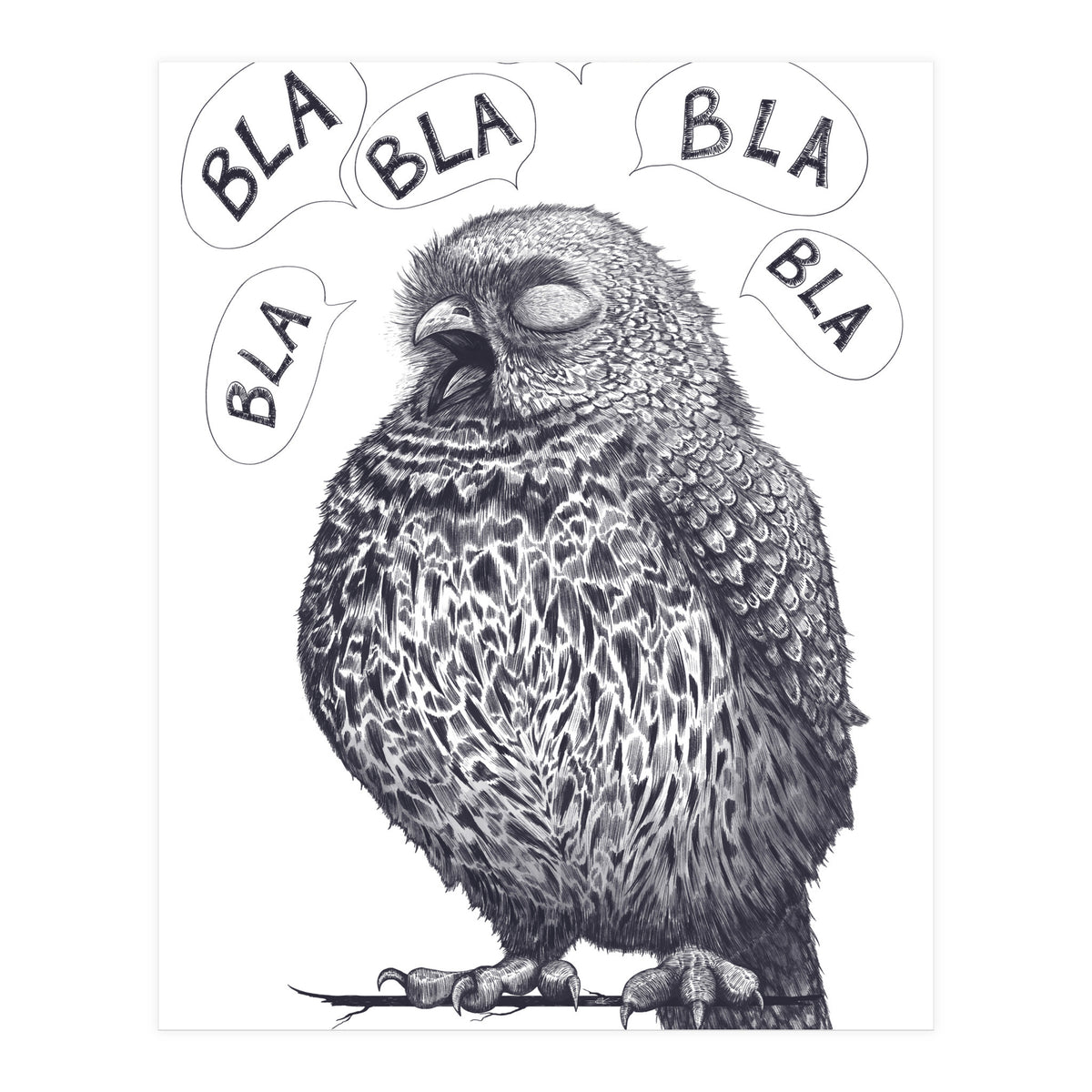 Owl Bla Bla Bla (Print Only)