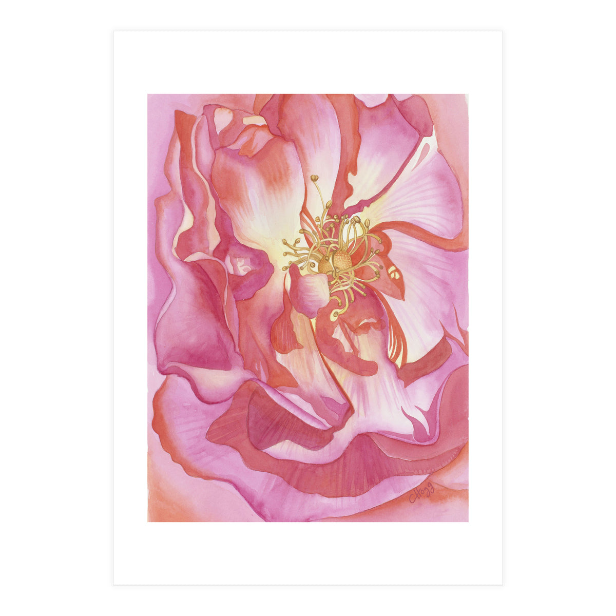 Love Is A Rose (Print Only)