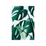 Monstera (Print Only) thumbnail