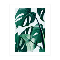 Monstera (Print Only)