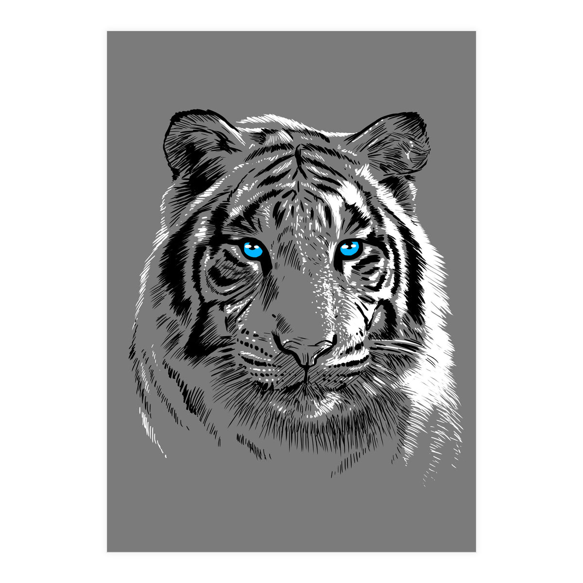 Sketch Tiger (Print Only)