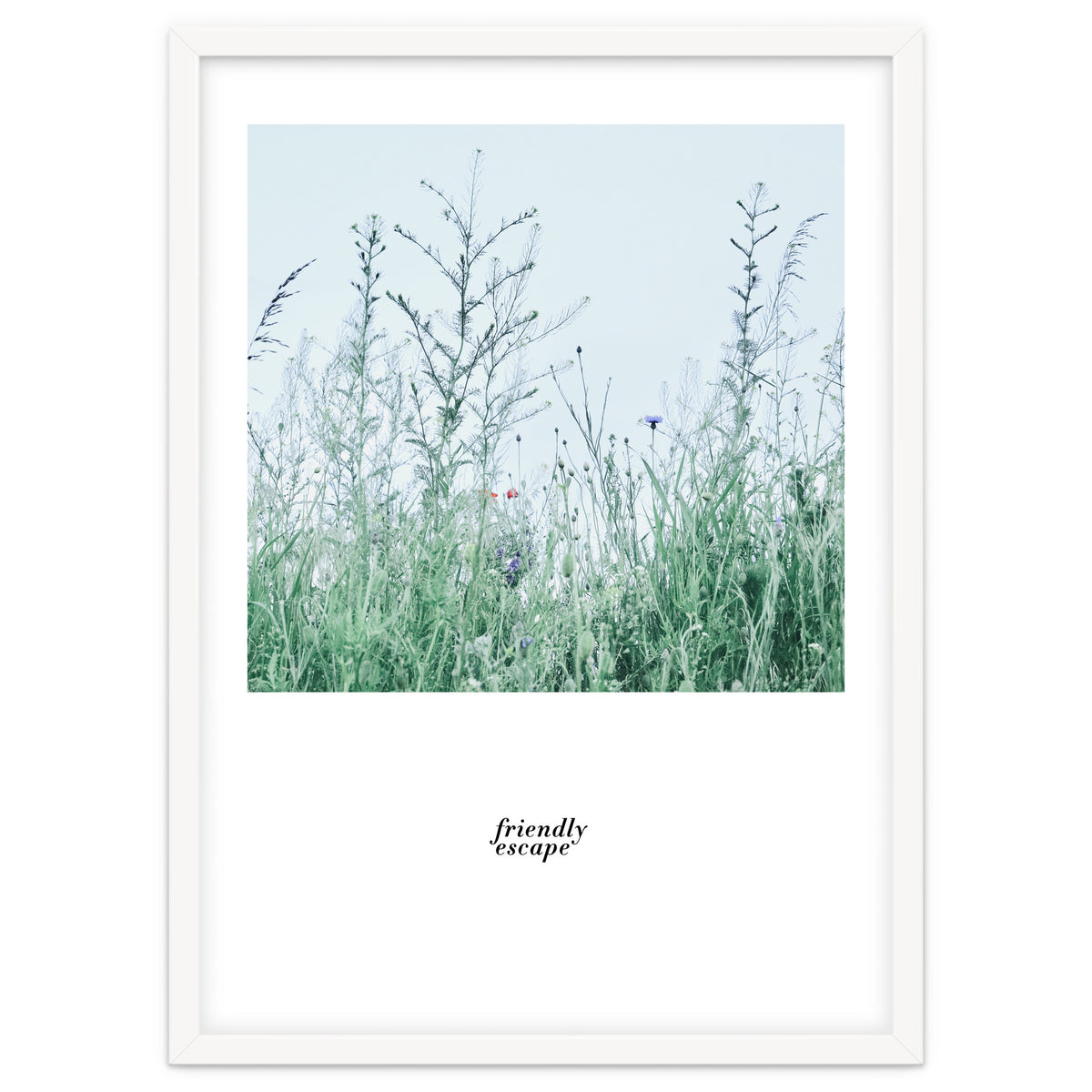 Friendly escape - Nature Photography -