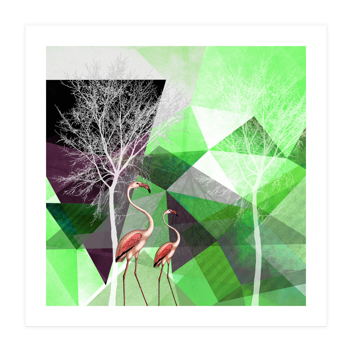 FLAMINGOS P21  (Print Only)