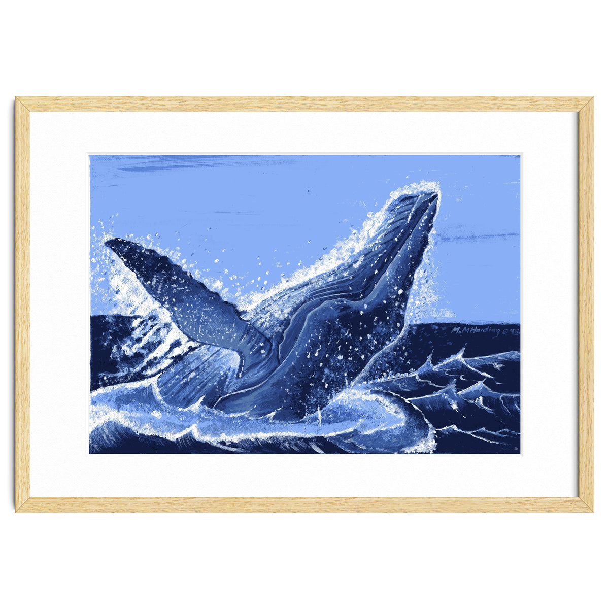 Humpback Whale Breaching