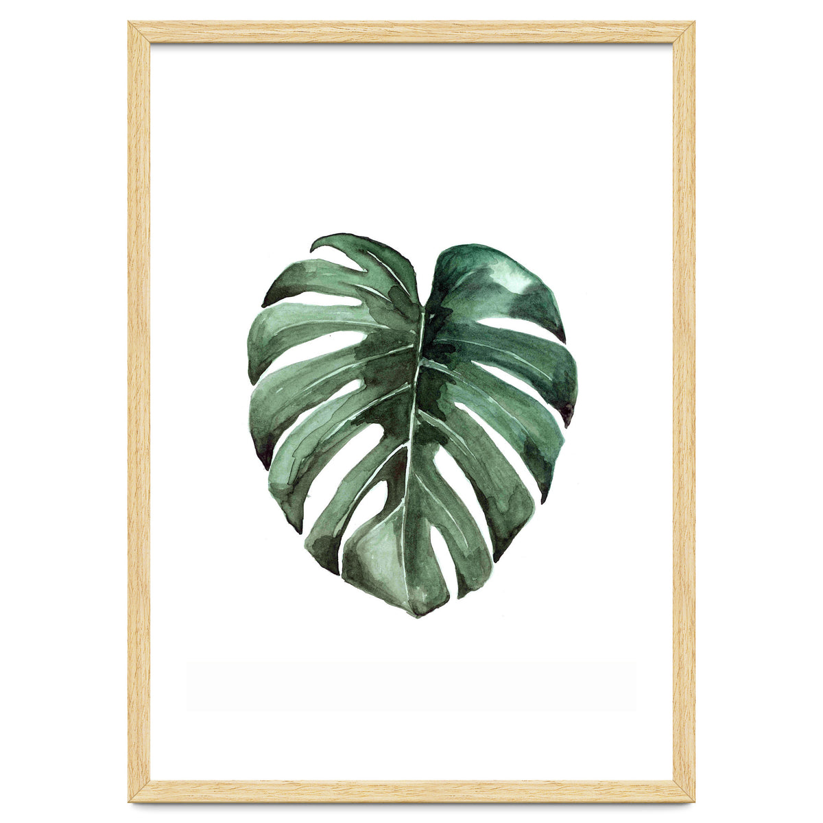 Botanical Illustration Monstera Deliciosa