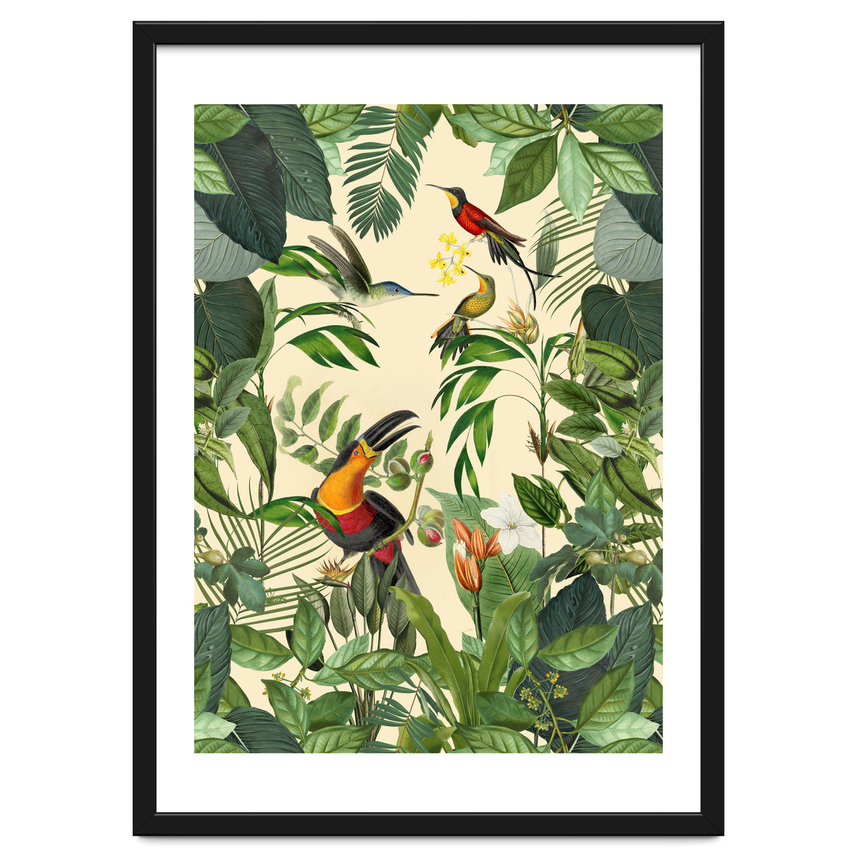Green Jungle Toucans