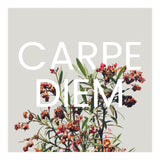 Carpe Diem (Print Only) thumbnail