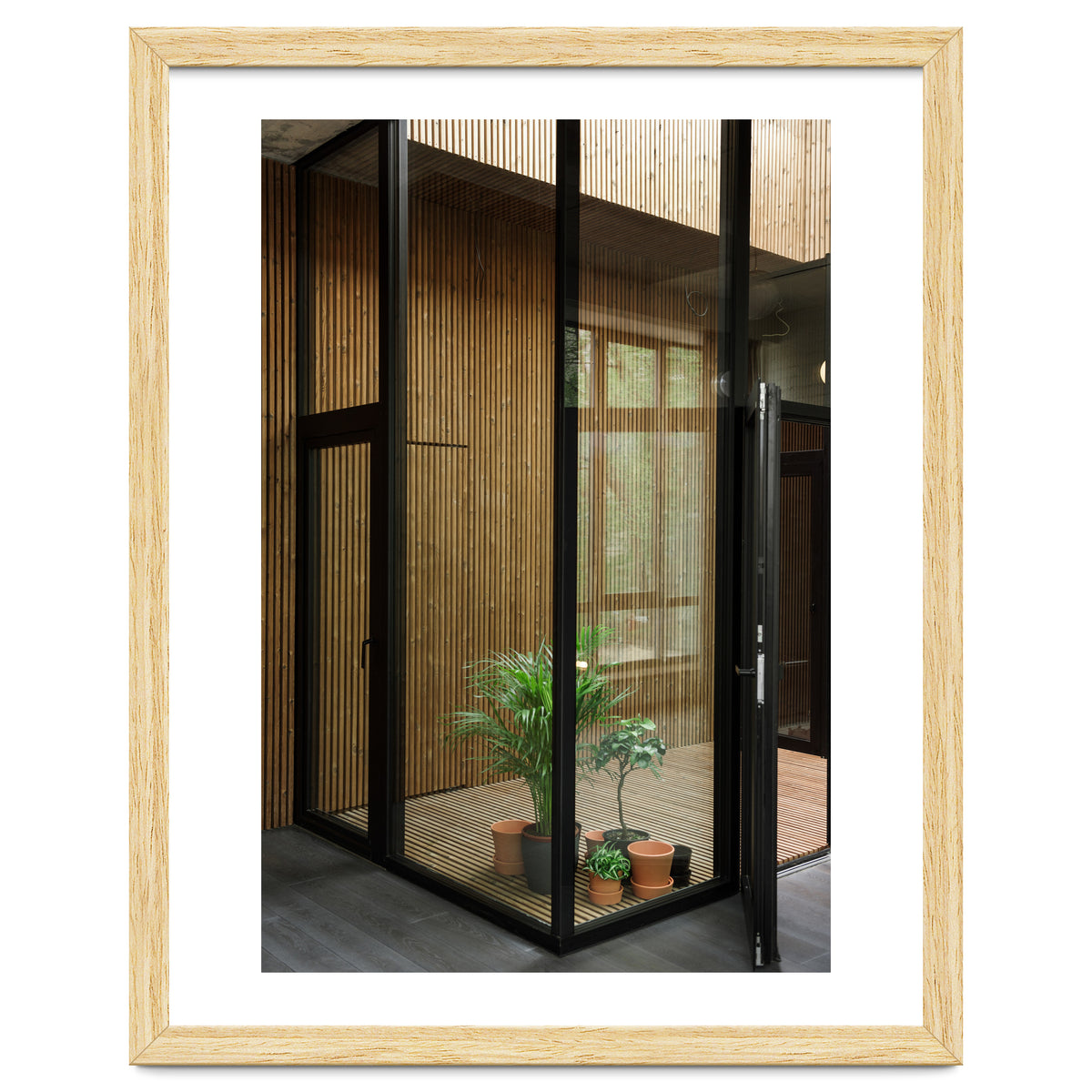 Public Place at my House