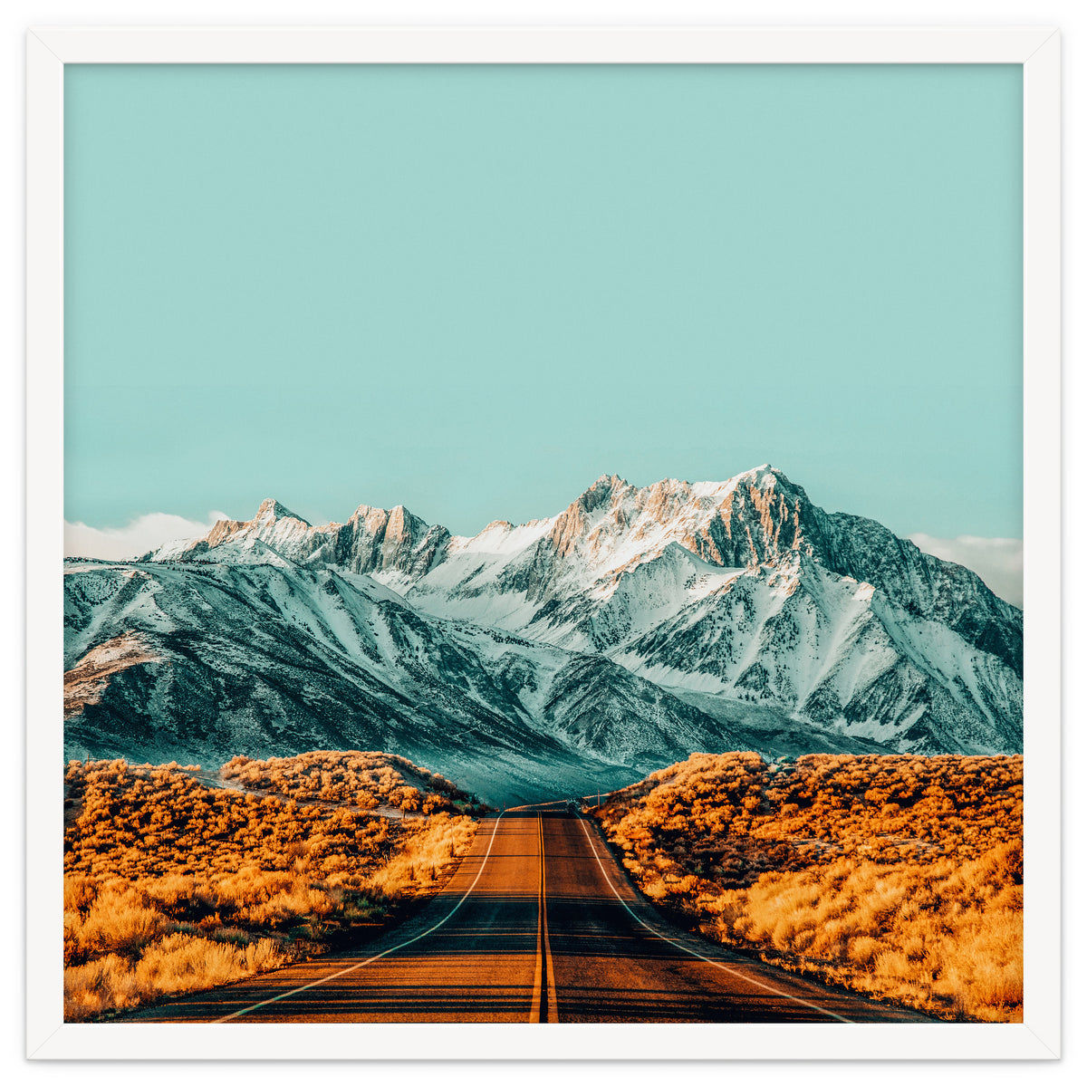 The Road Less Traveled