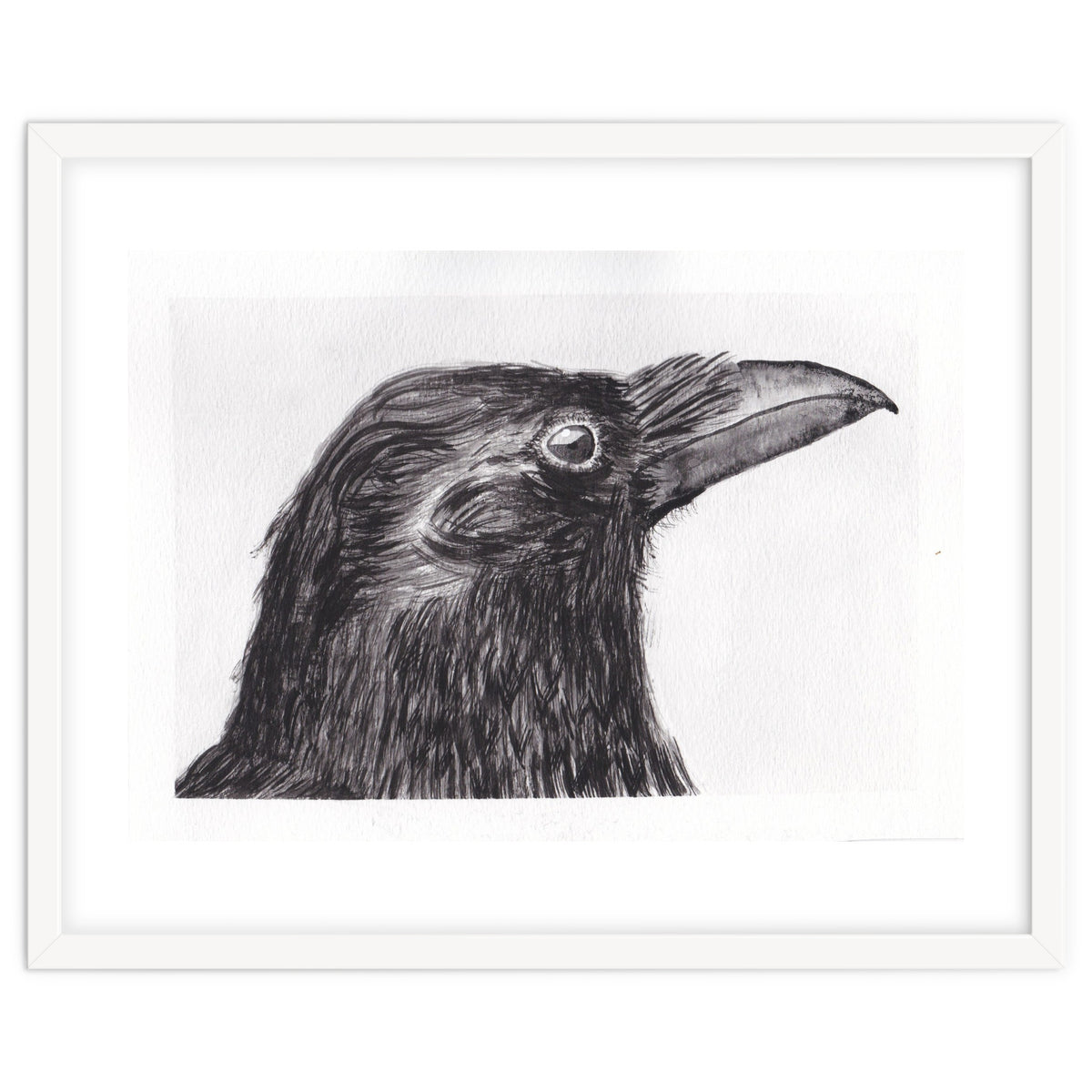 Crow