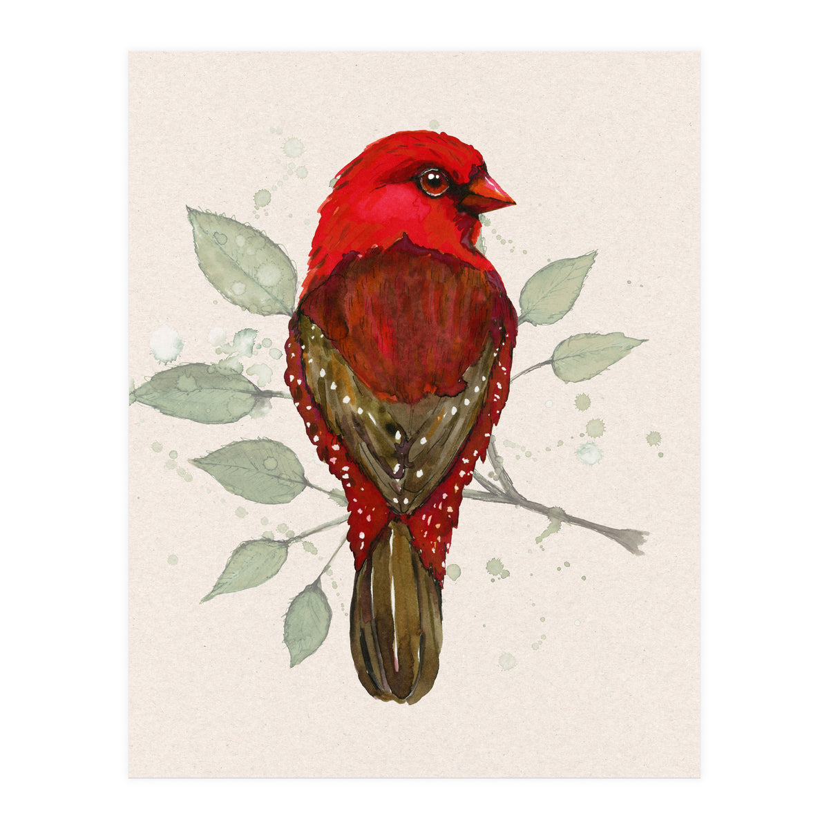Red avadavat watercolor (Print Only)