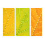 Autumn Leaves (Print Only) thumbnail