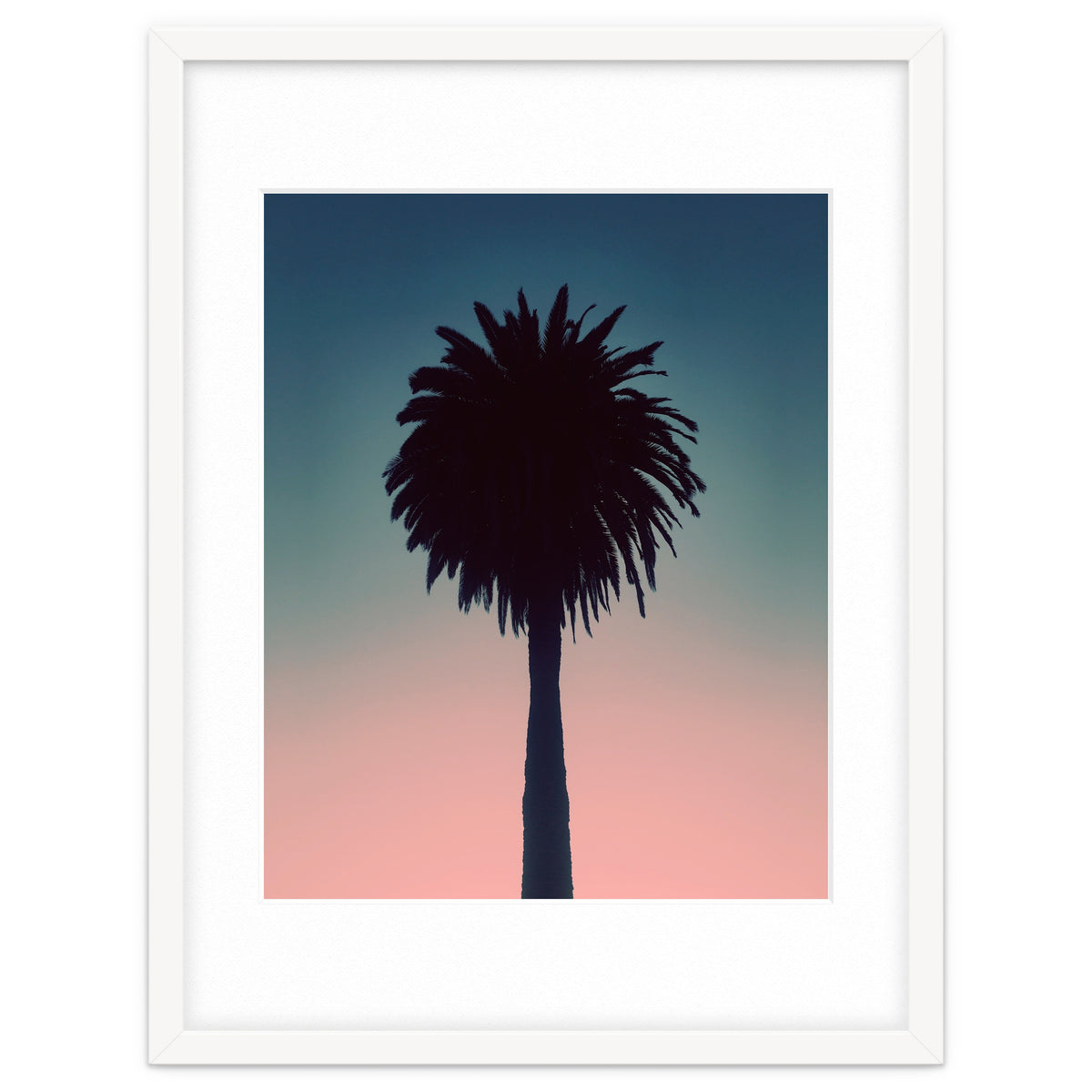 Sundown Palm