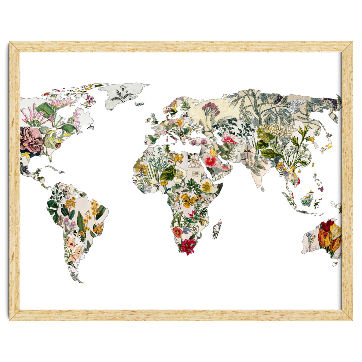 Vintage Botanical Map