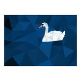 Swan In Water Artwork (Print Only) thumbnail