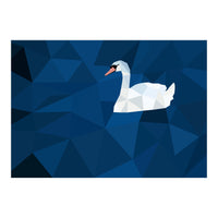 Swan In Water Artwork (Print Only)