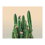 Flowered Cactus (Print Only) thumbnail