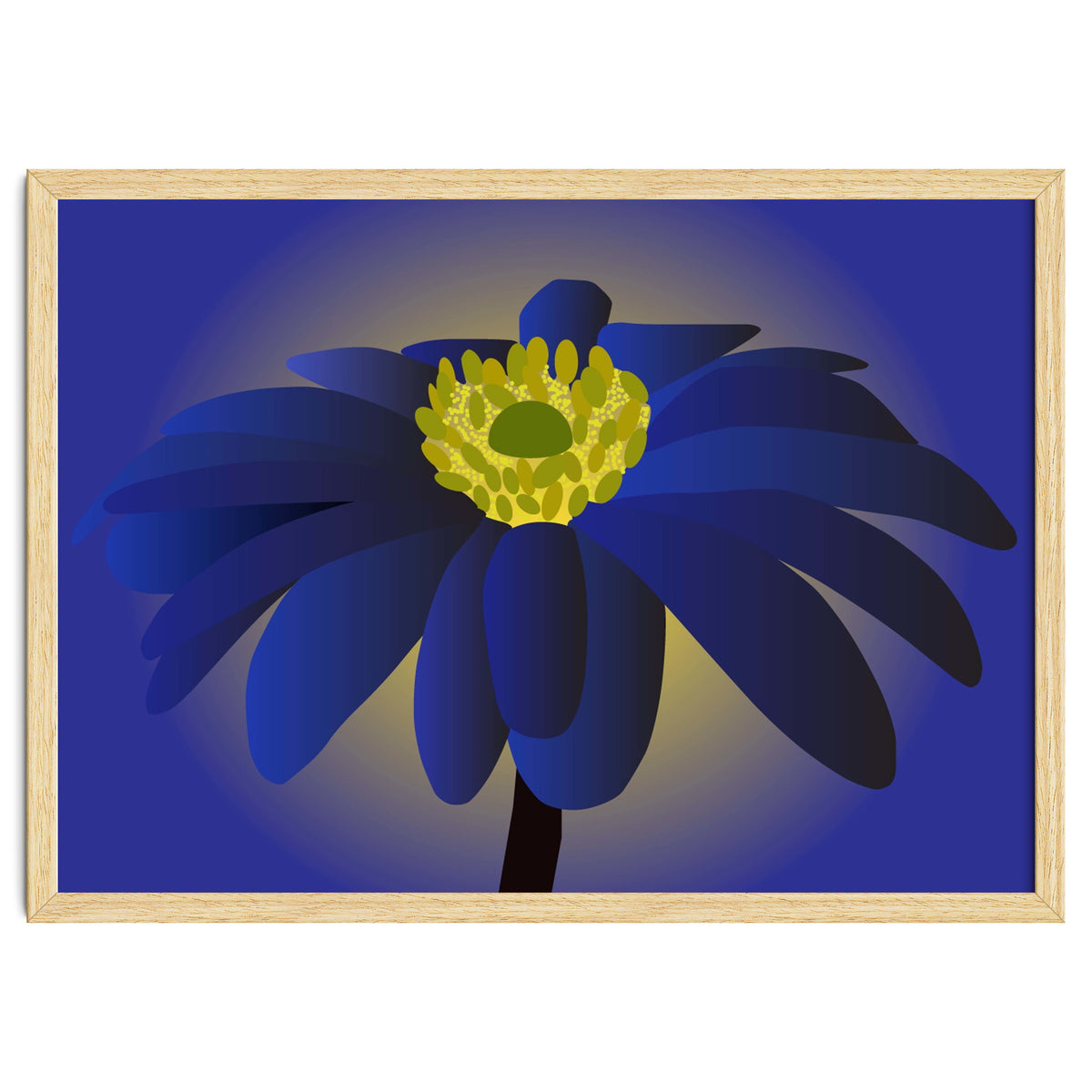 Anemone Blanda Flower Art