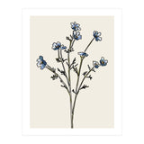 Bunch II (Print Only) thumbnail
