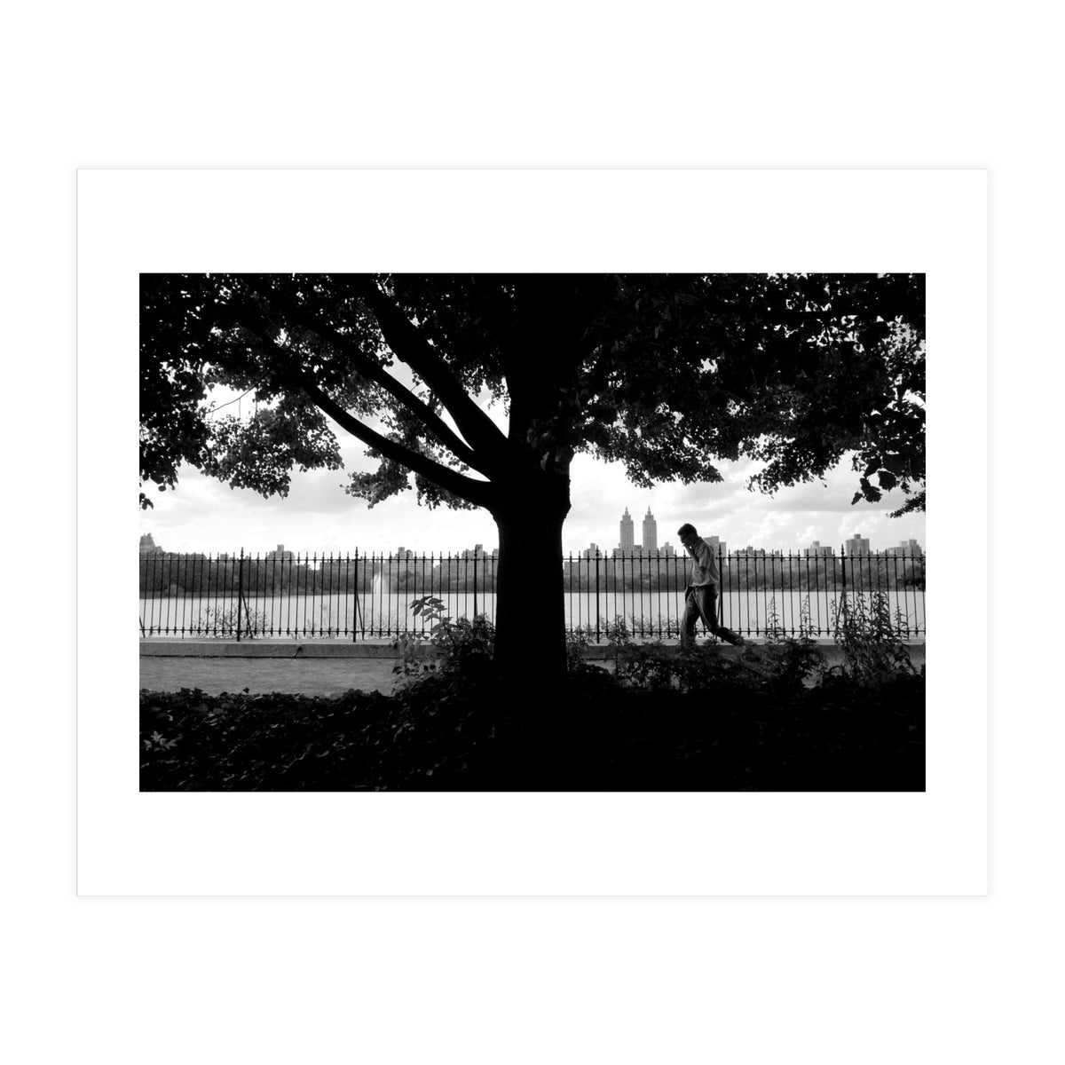 Central Park, New York City (Print Only)