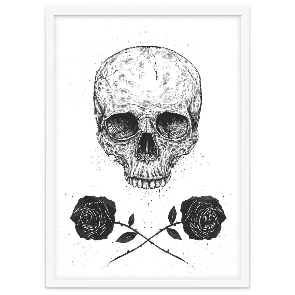 Skull N Roses