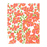 Bougainvillea Blush (Print Only) thumbnail