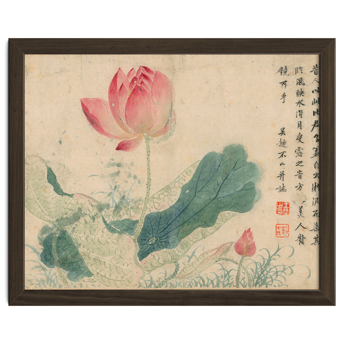 Qing Wangwu Flower album, lotus, lotus leaf, pond, copy of water grass