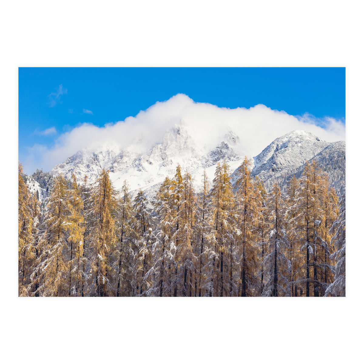 Cloudy Crown (Print Only)