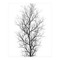 The Tree Black (Print Only)