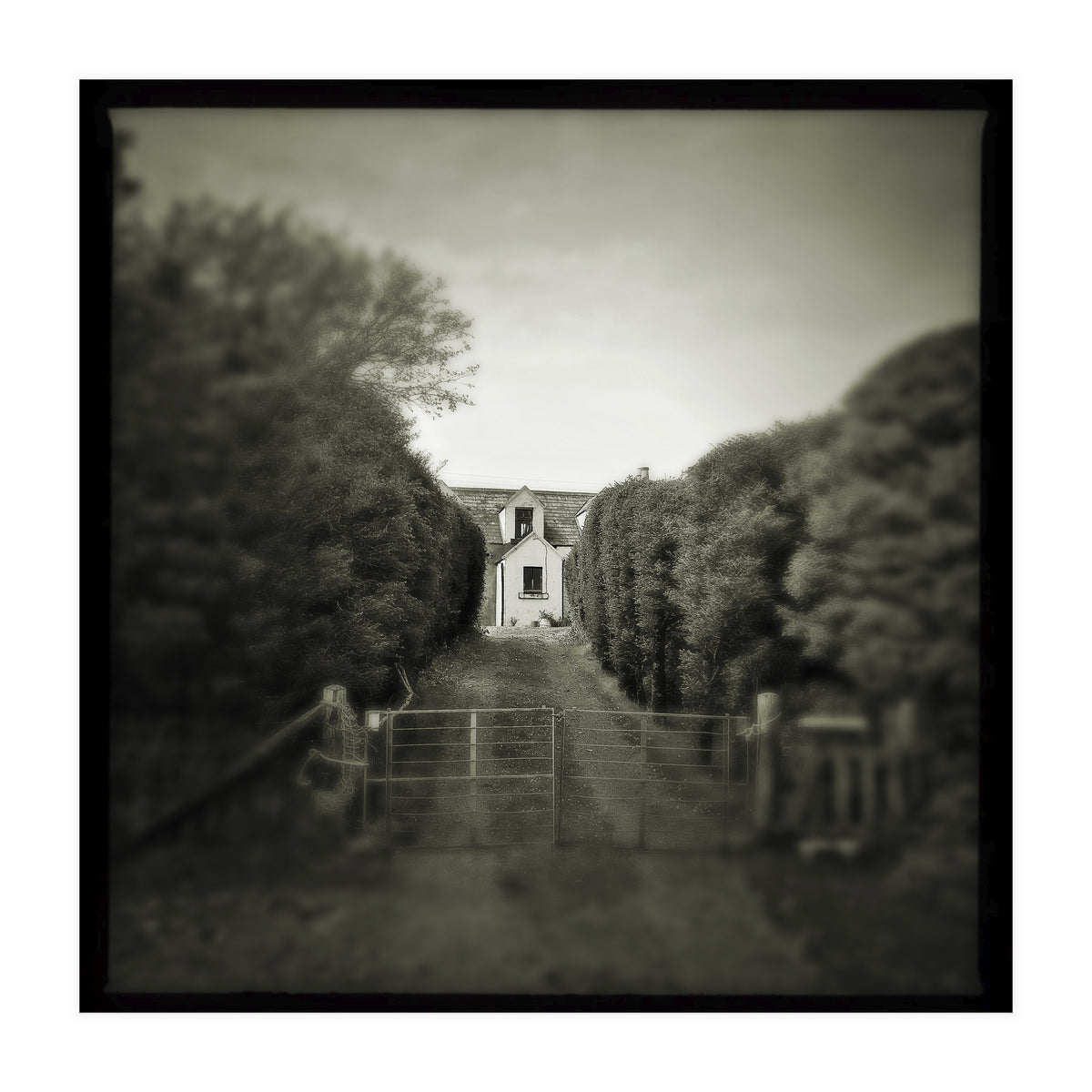 Waterstein 3 (Print Only)