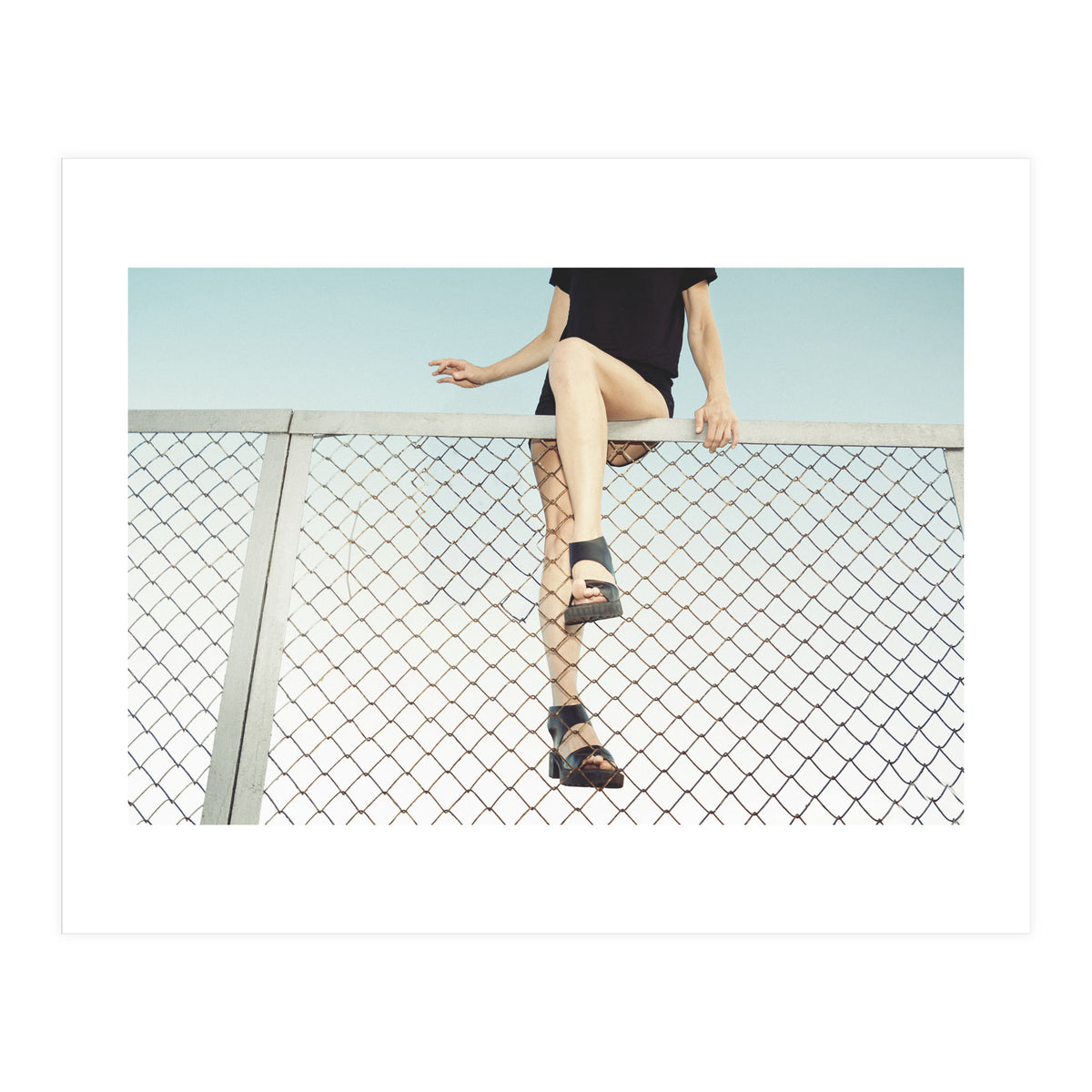 Hoping Fences (Print Only)