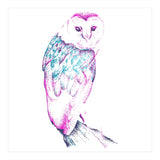 Barn Owl Pinquoise (Print Only) thumbnail