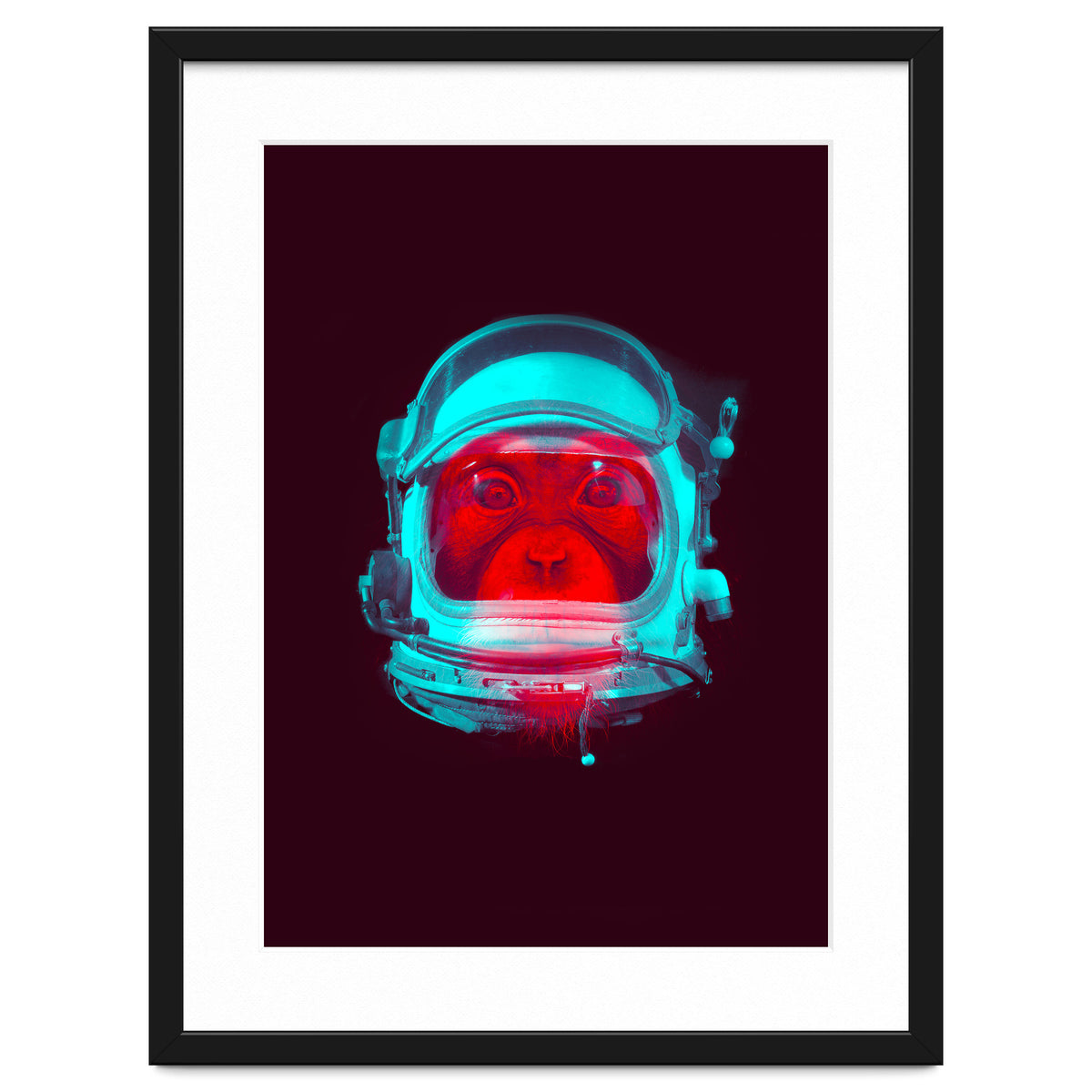 Astronaut
