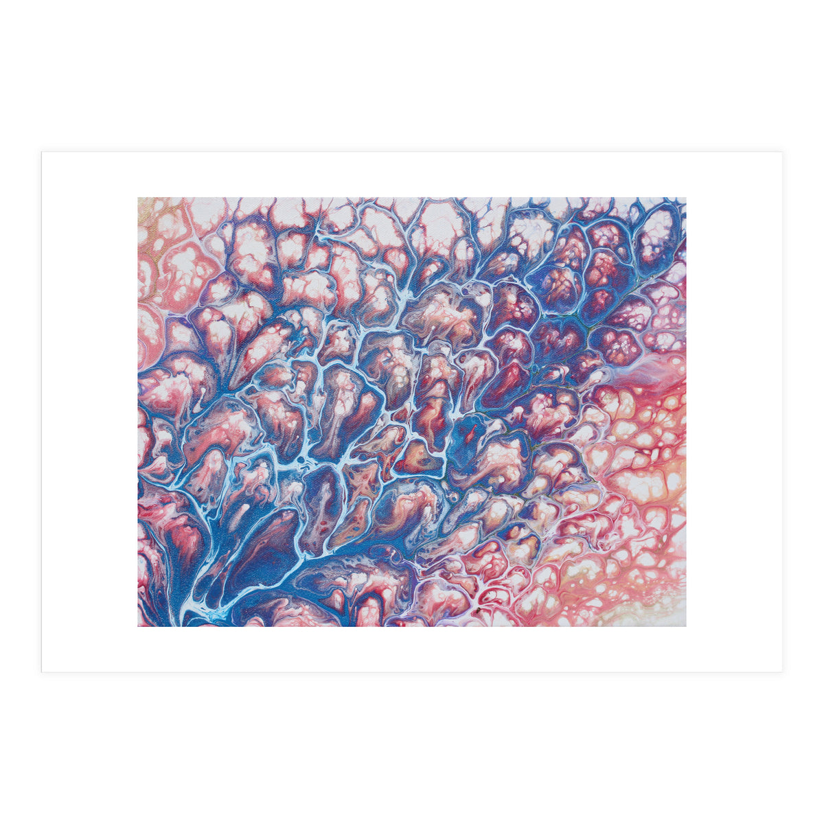 Coral Sea (Print Only)