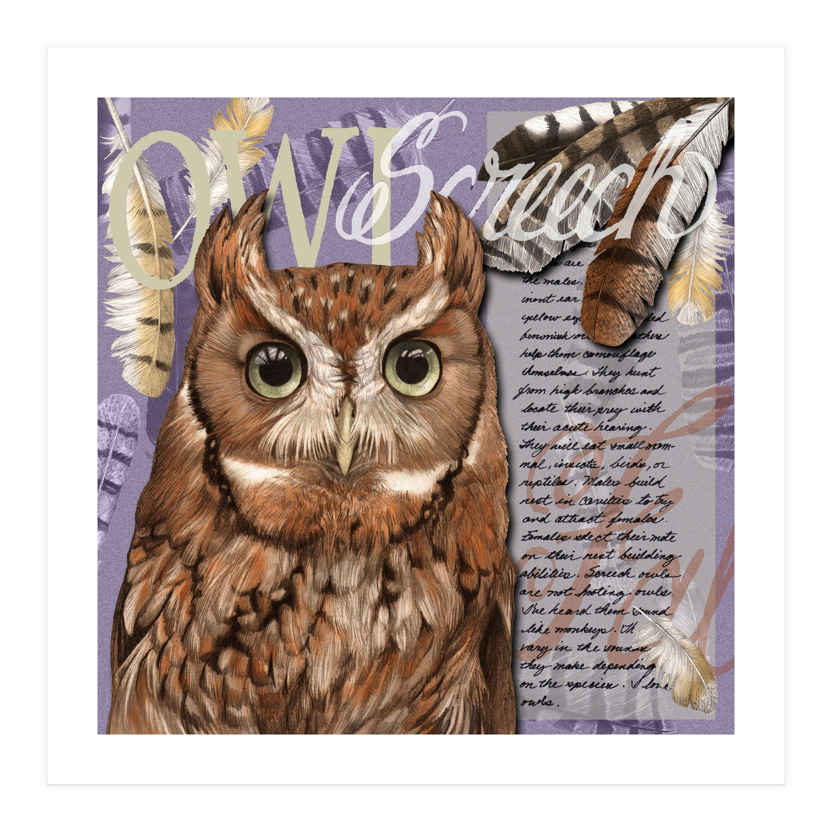 Screech Owl (Print Only)