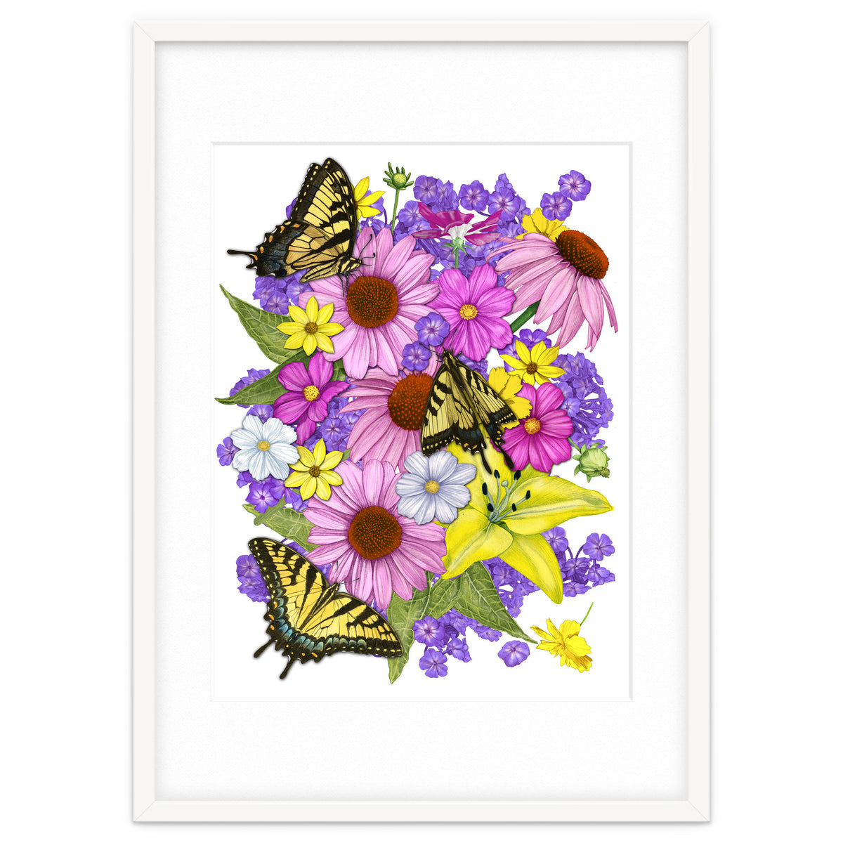 Corn Flowers and Swallowtails