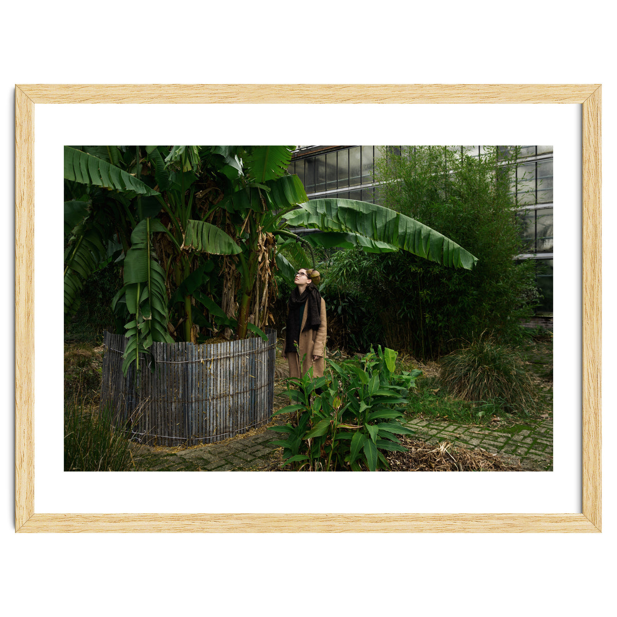 Transition from Summer to Winter