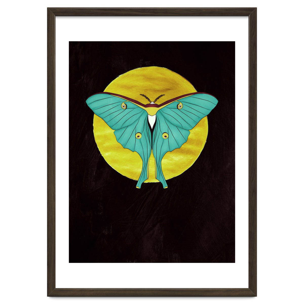 Luna Moth Moon