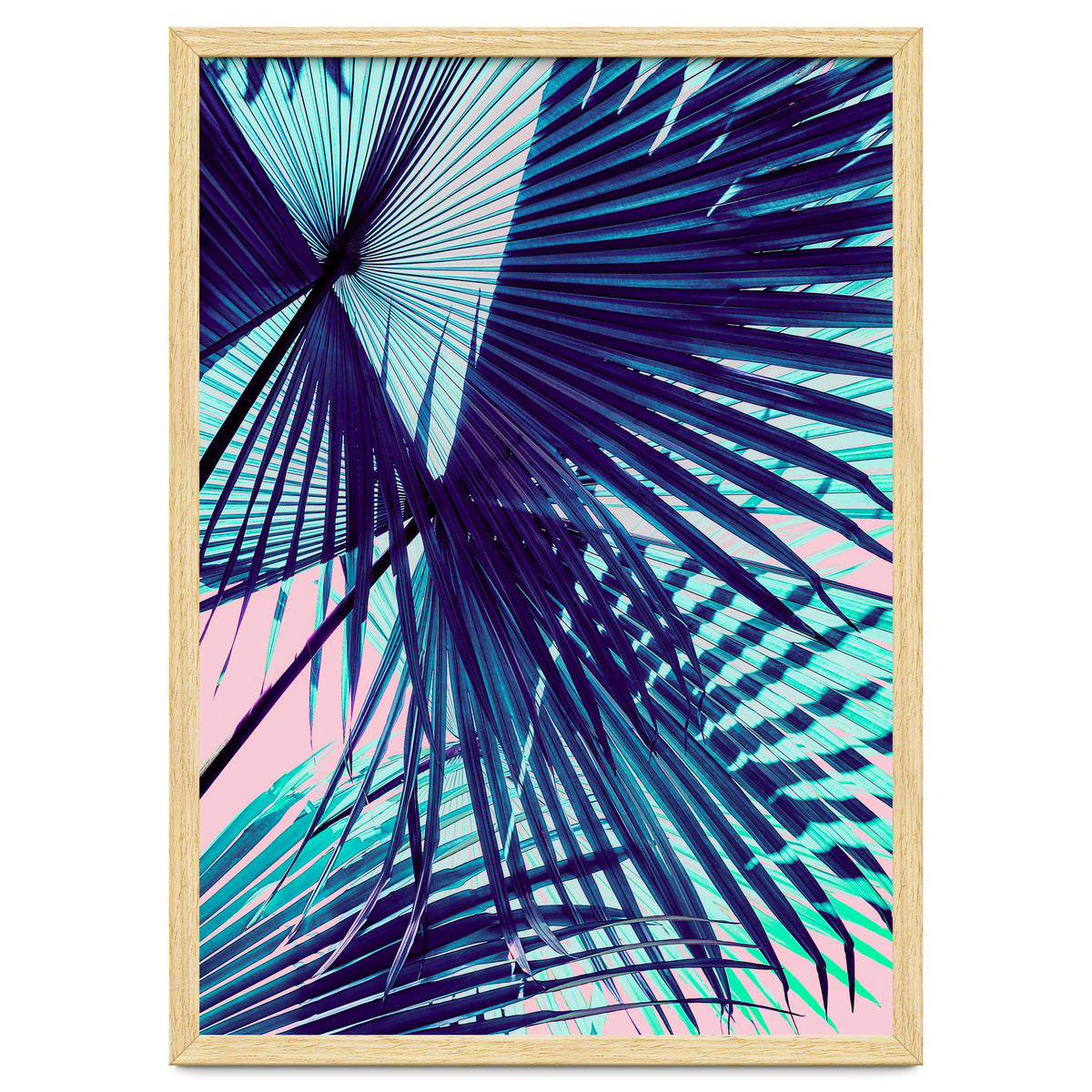 Palm leaf on the beach