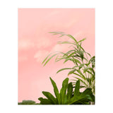 Minimal Botanical (Print Only) thumbnail