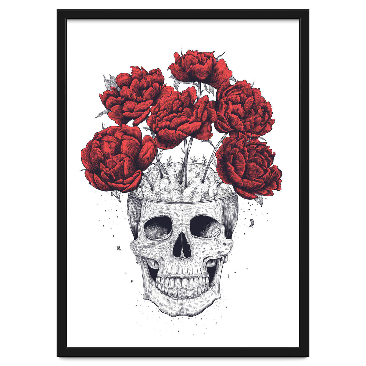 Skull With Peonies