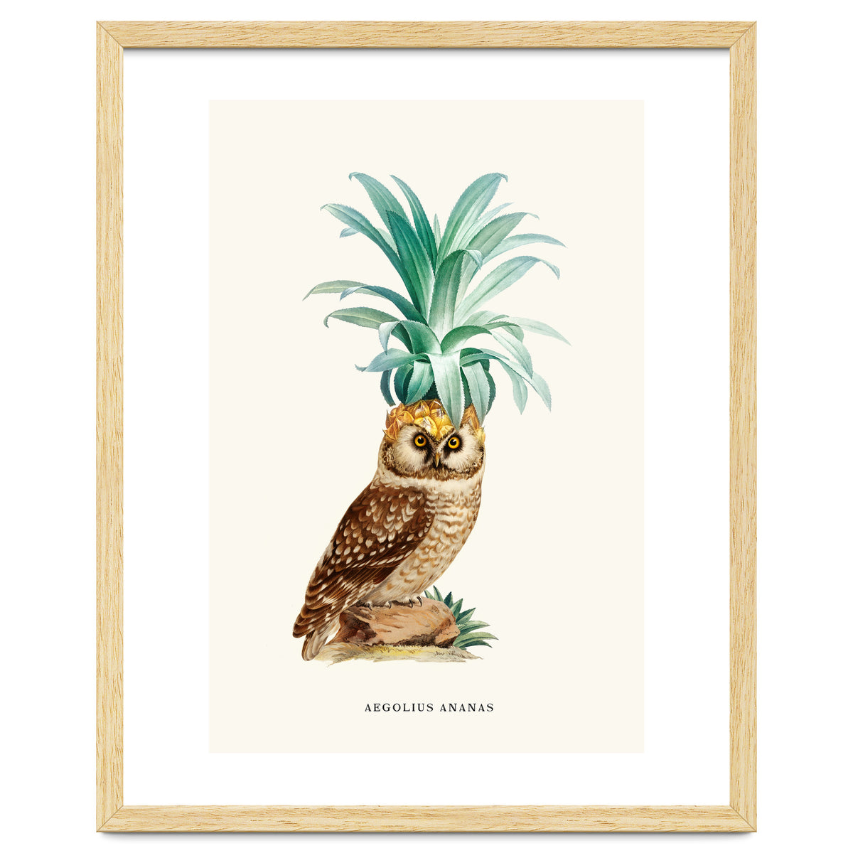 Pineapple Owl Vintage