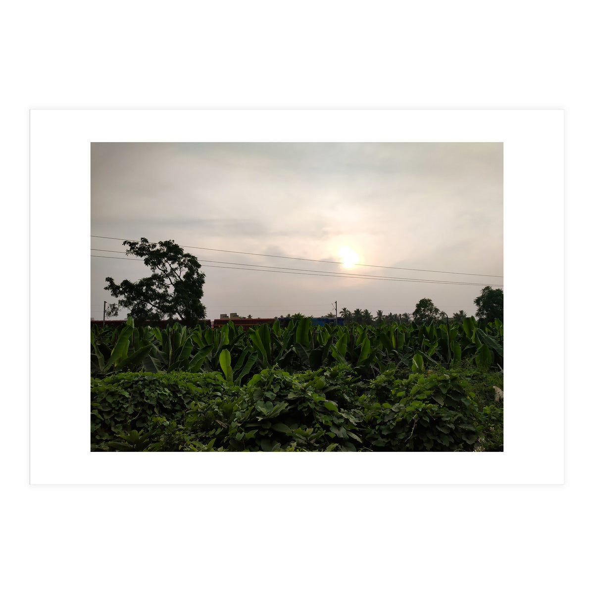 Never Ending Journey (Print Only)