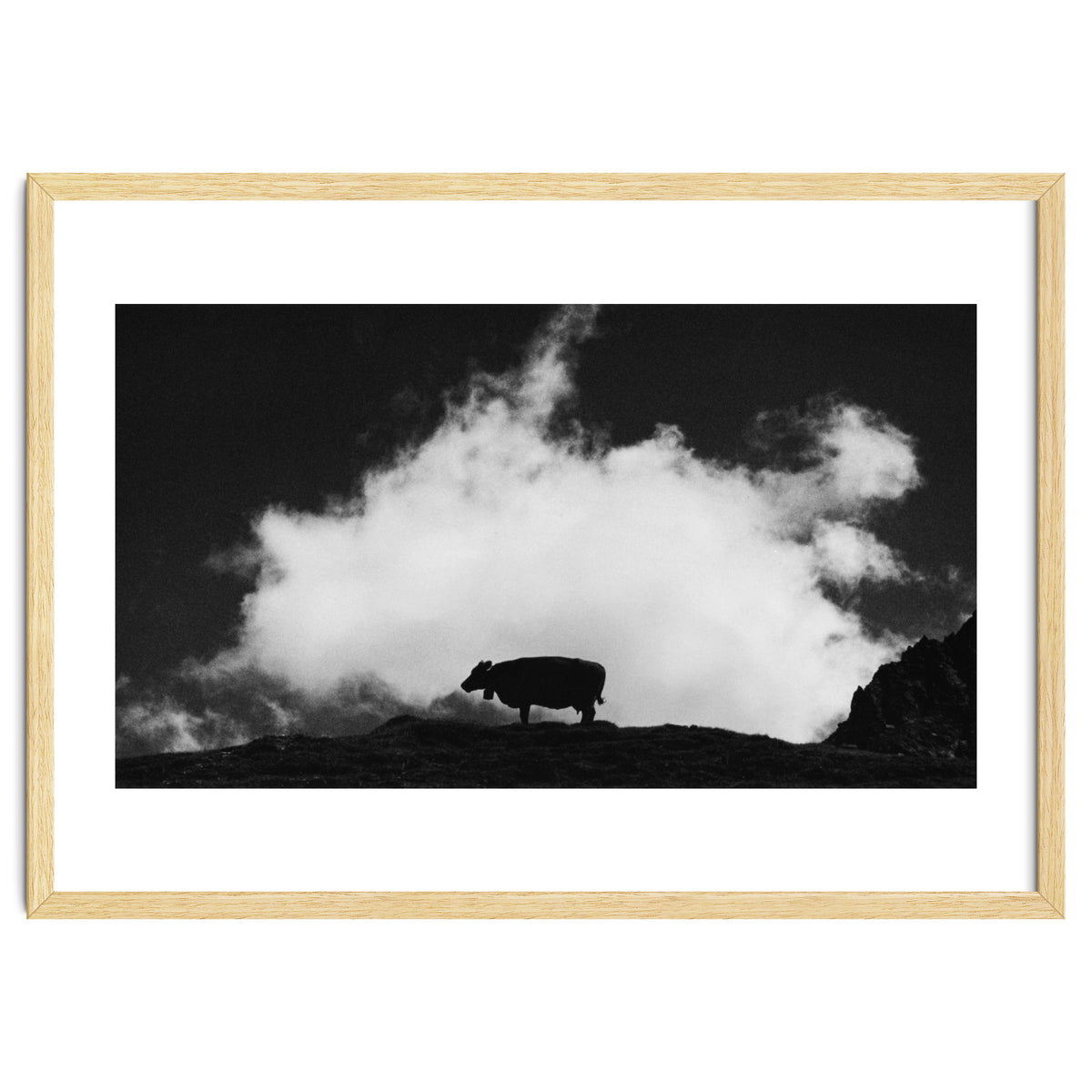 cow and cloud