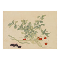 Wang Chengyu~flowers And Vegetables, Vegetables, Fruits, Beans, Red Beans, Cherries, Celery (Print Only)