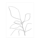 Six Leaf Plant (Print Only) thumbnail
