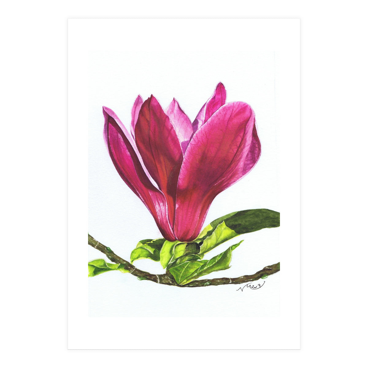 Single Magnolia (Print Only)