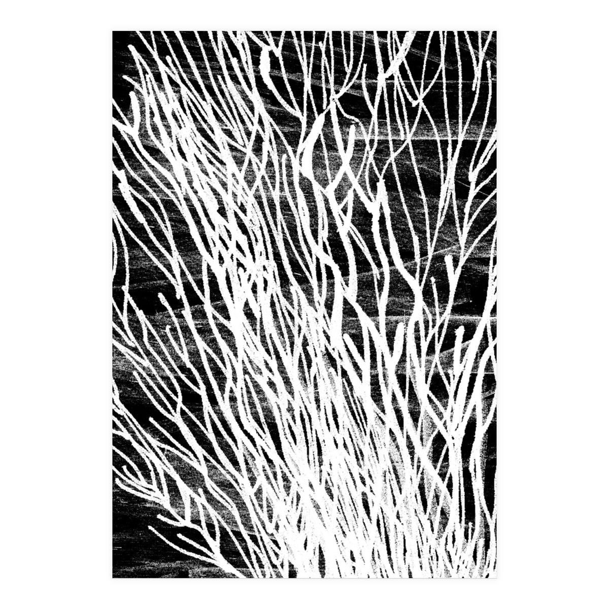 Desert Colours Collection 6 (Print Only)